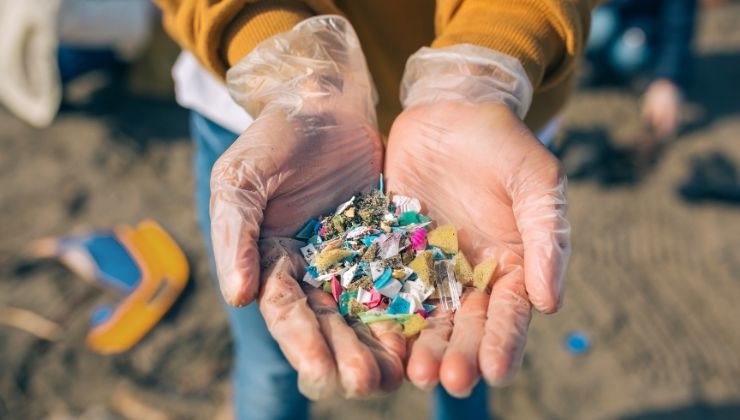 come avvelenano le persone ogni giorno