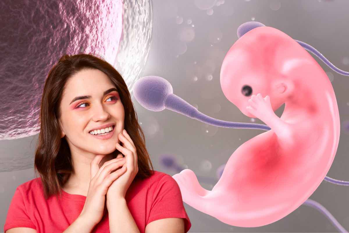 embrione umano senza ovuli e spermatozoi