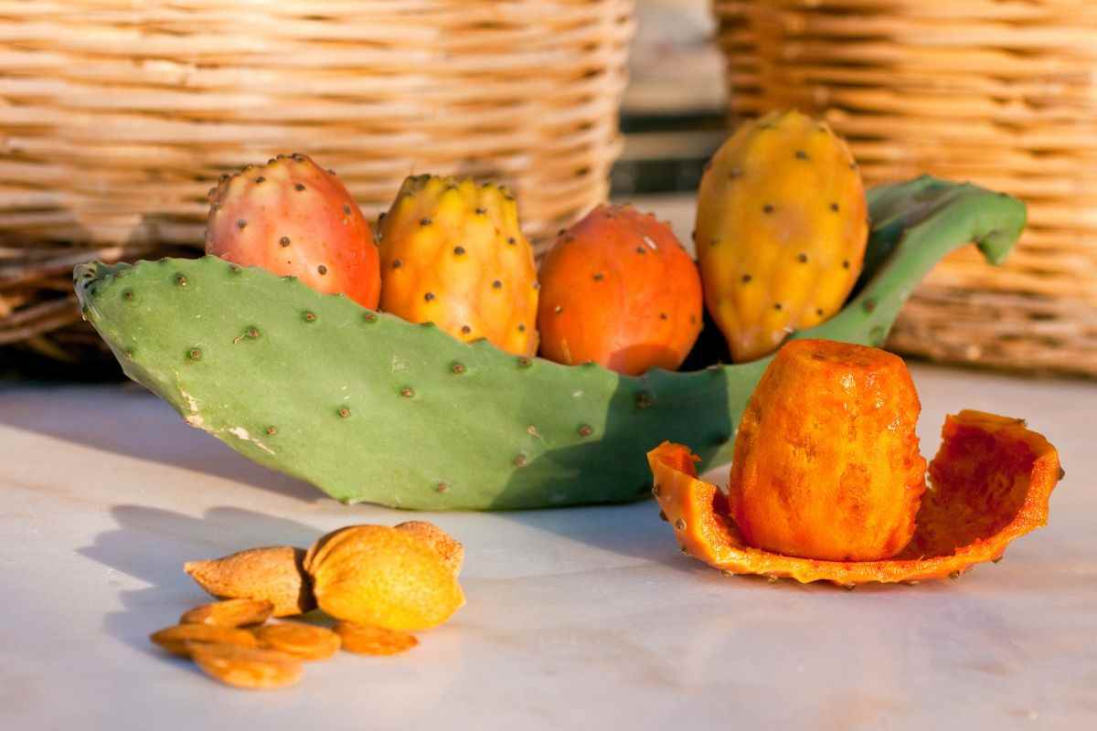 le proprietà dei fichi d'india