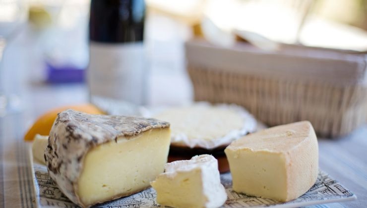 formaggio fatto con l'acqua di mare