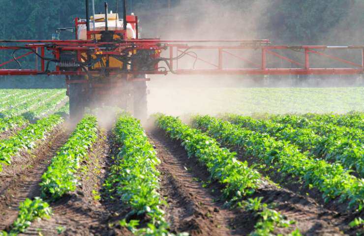 legumi ritirati dal mercato per pesticidi
