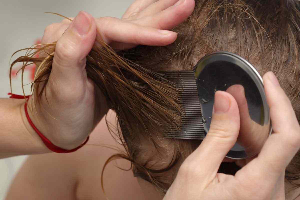 pediculosi: come prevenire