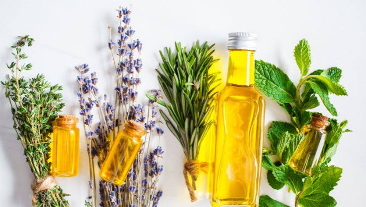Rimedi naturali per la perdita dei capelli
