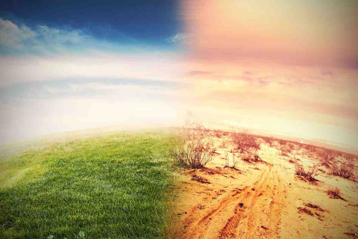 un nuovo allarme sul riscaldamento globale