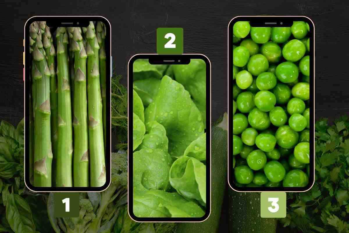 test asparagi piselli insalata