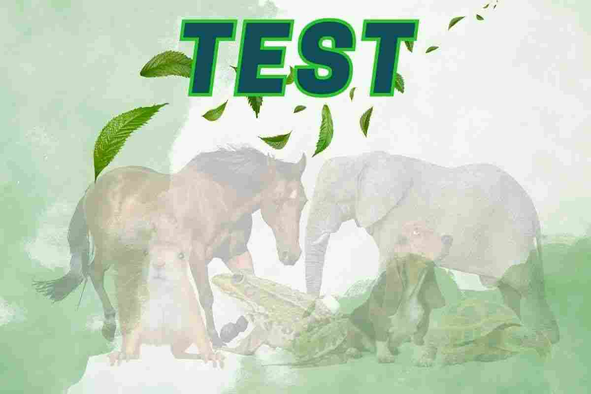 Test degli animali