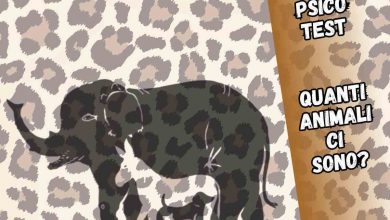 Test degli animali