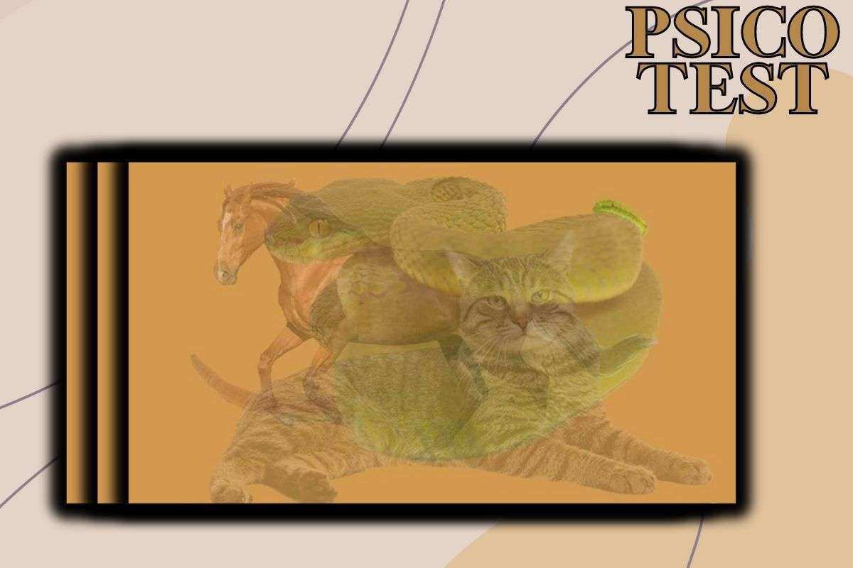 test personalità