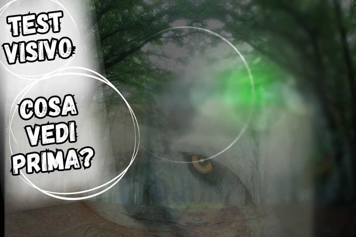 test visivo