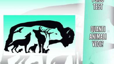 Test animali