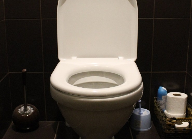 trucchi naturali pulizia wc