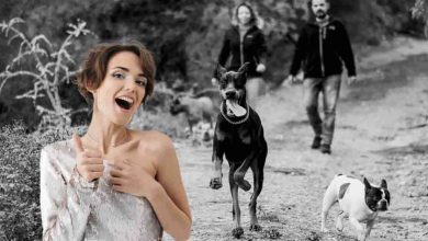 Usate questo oggetto per la pulizia delle zampe del cane