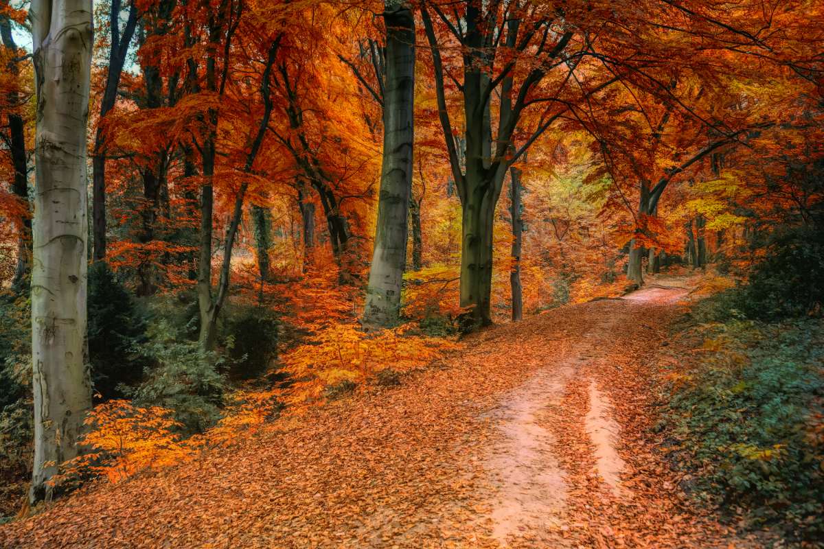 arredare casa in autunno