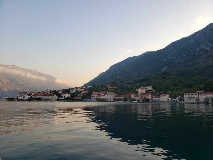 Kotor, la città dei gatti