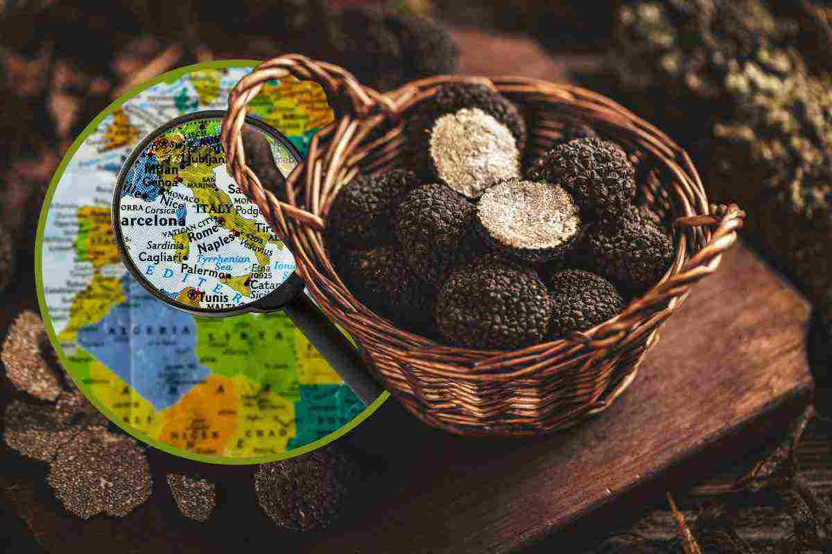 dove acquistare tartufo nero italia