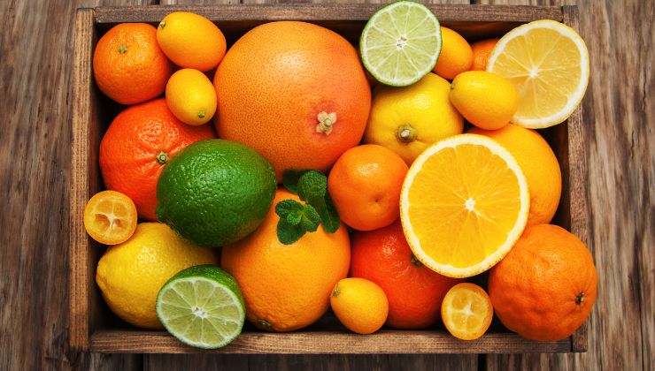 nuova malattia per gli agrumi Citrus Black Spot