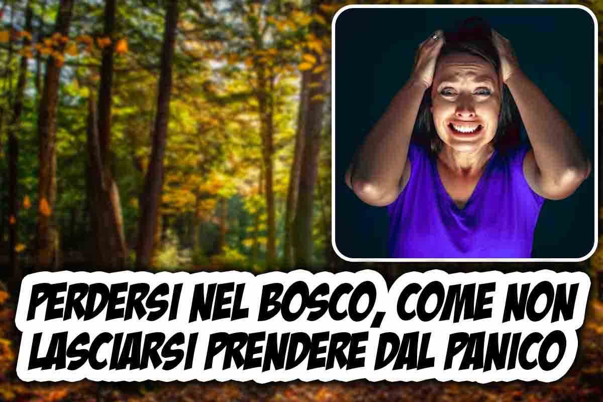 Perdersi tra i boschi