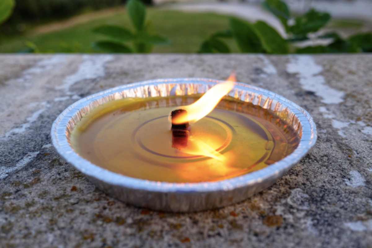 candela citronella usata per giardini e balconi