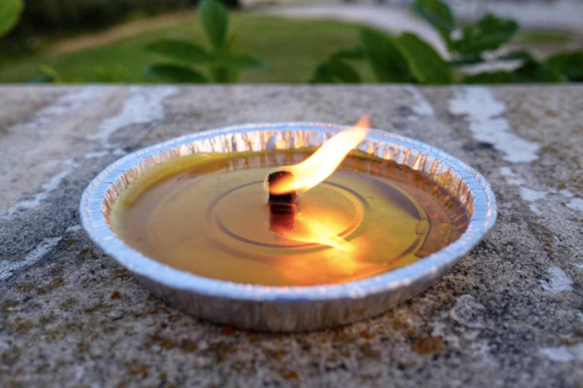 candela citronella usata per giardini e balconi