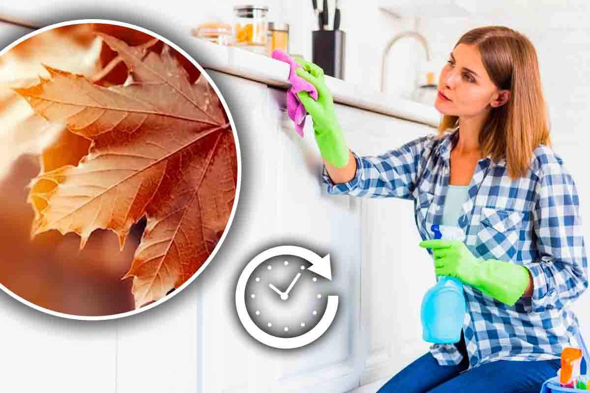 pulizie di autunno in casa