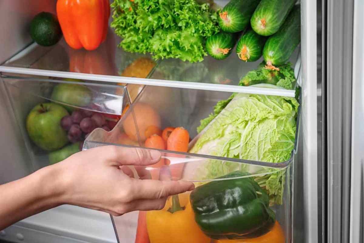 spugna nel cassetto verdure frigo