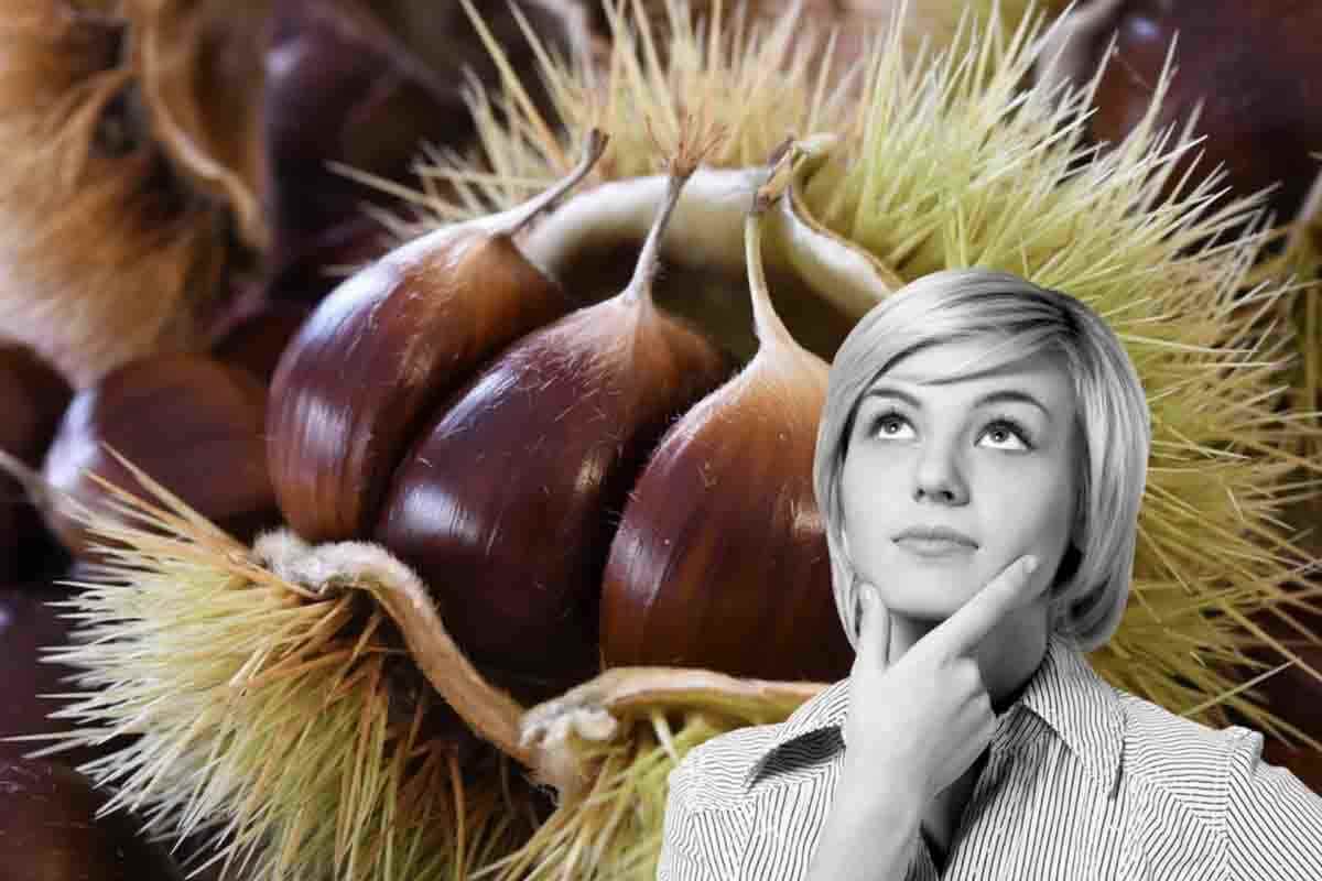 le castagne fanno ingrassare o no