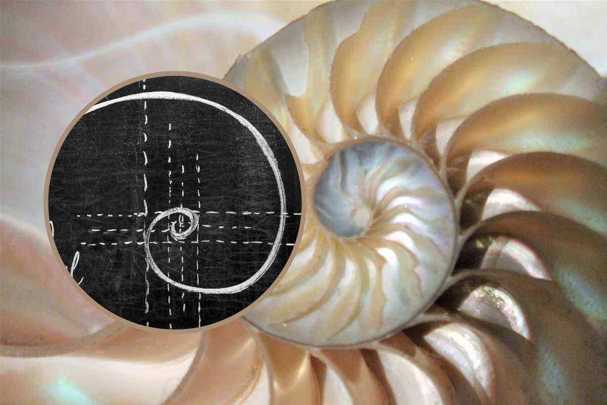 natura è fatta di matematica