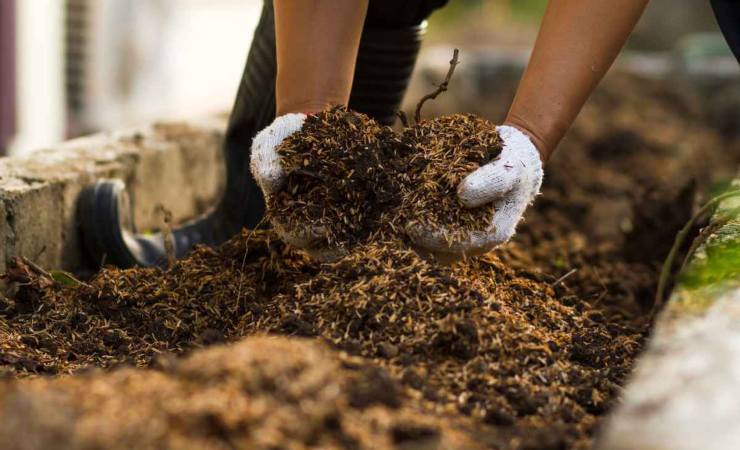 a novembre è già tempo di pensare alla Primavera