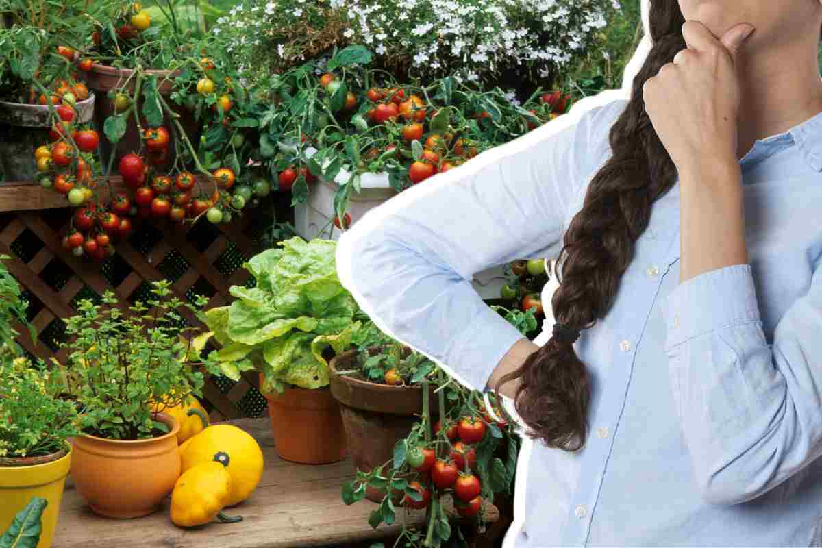 Orto sul balcone cosa piantare