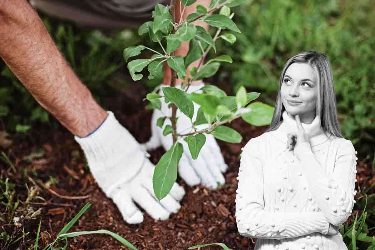 a novembre è già tempo di pensare alla Primavera