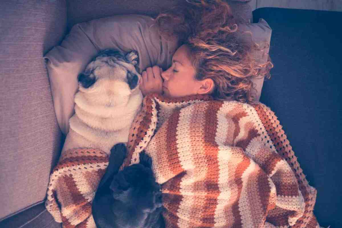 la donna a letto col cane si sente sicura