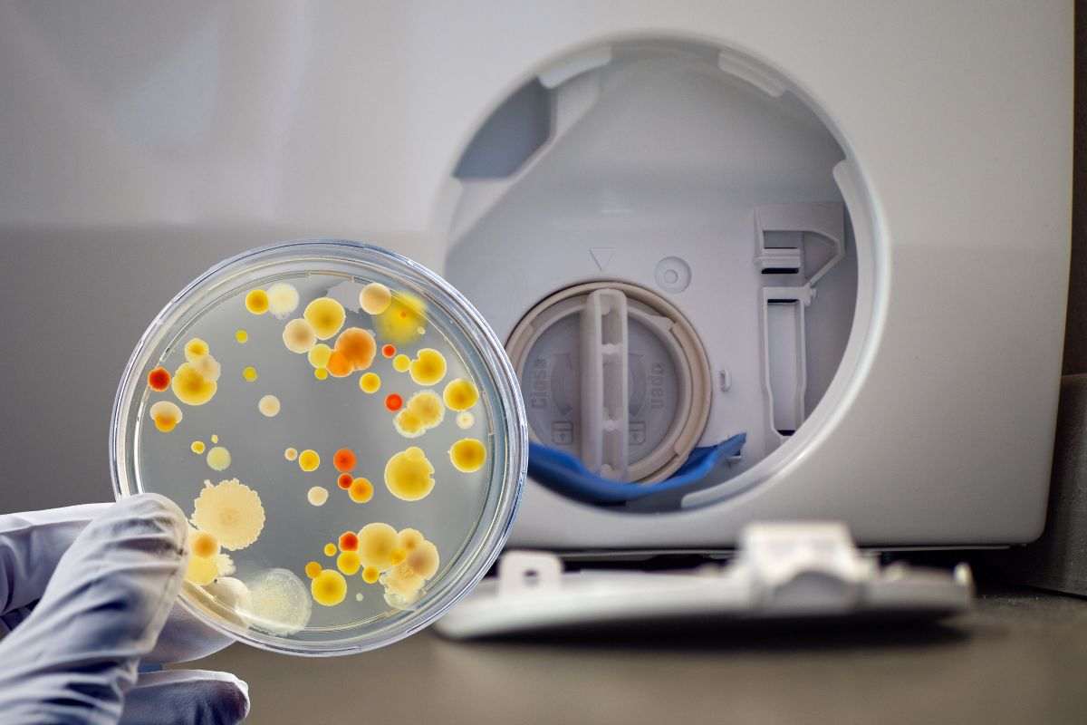 come pulire il filtro della lavatrice