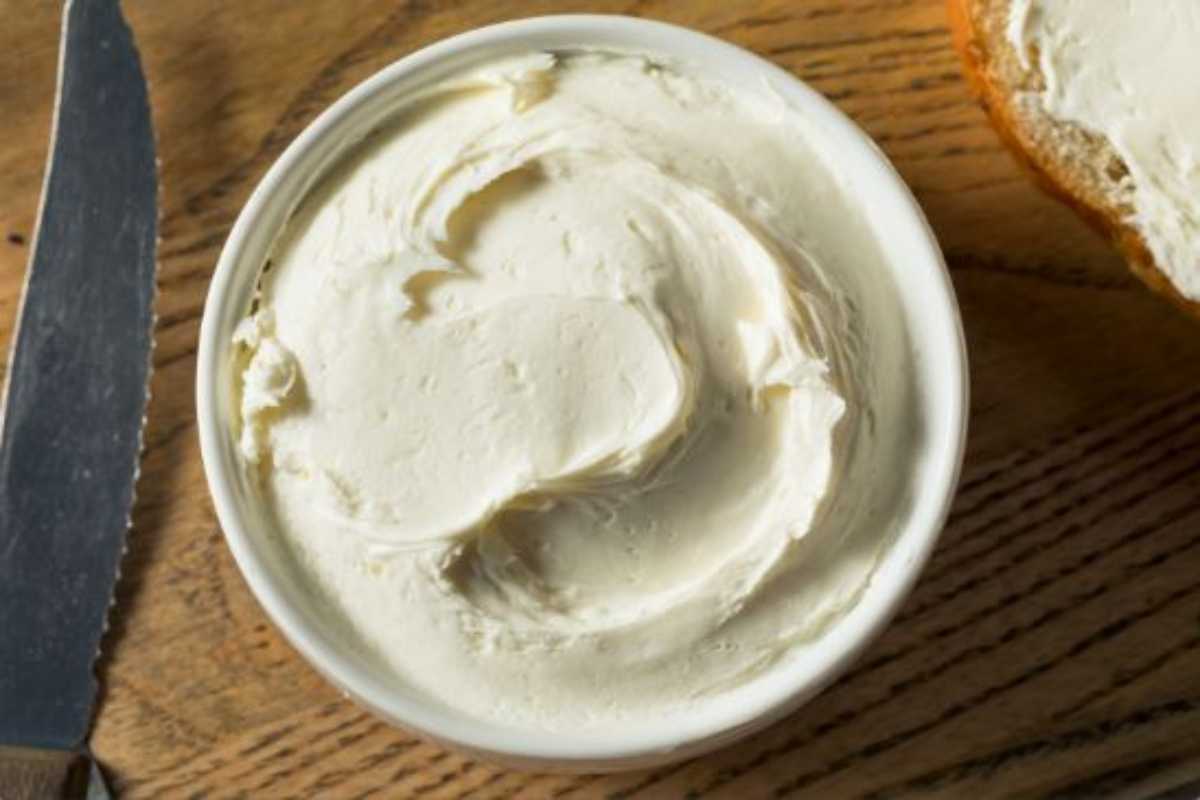 formaggio spalmabile fatto in casa ricetta