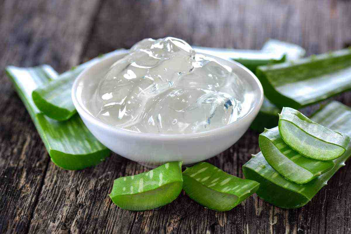 gel aloe vera contro le vesciche