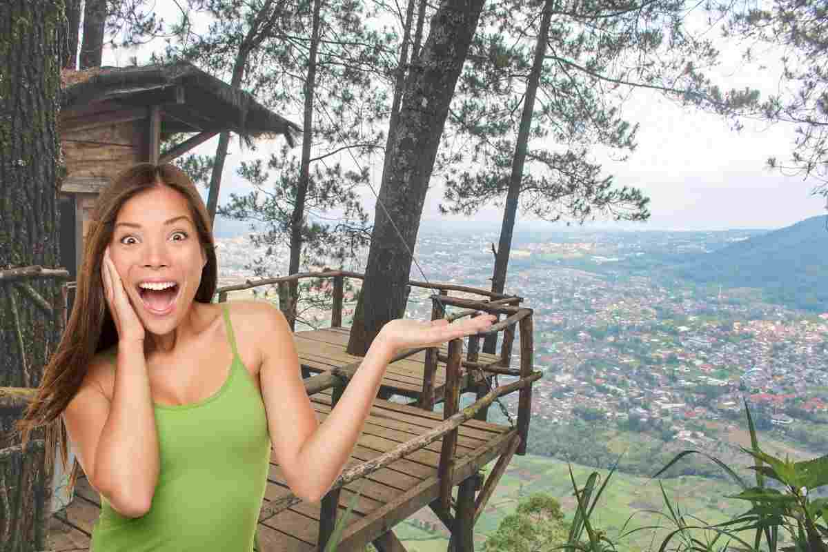 hotel sull'albero lussuosi