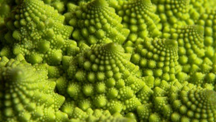 i numeri della natura