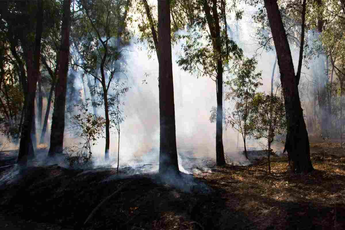 incendi controllati