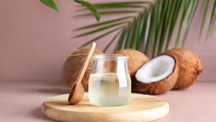 olio di cocco fa dimagrire o no