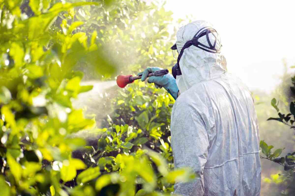 pesticidi nella frutta fanno male