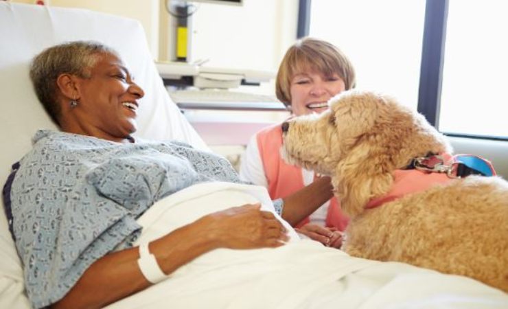 pet therapy come funziona