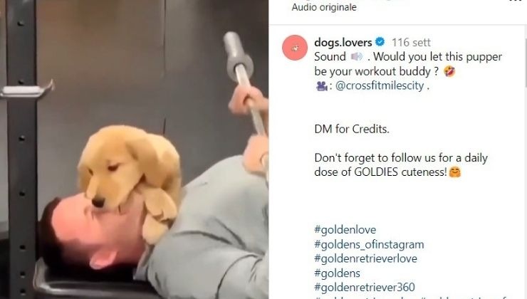 il cane che scegli influisce sulla tua vita
