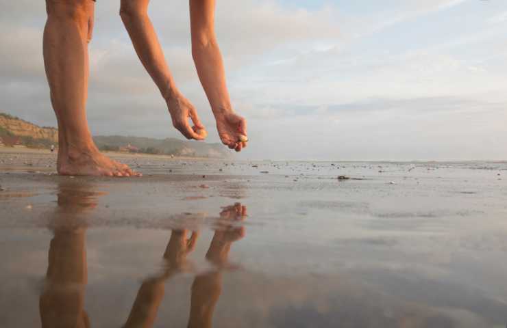 Raccolta beachcombing