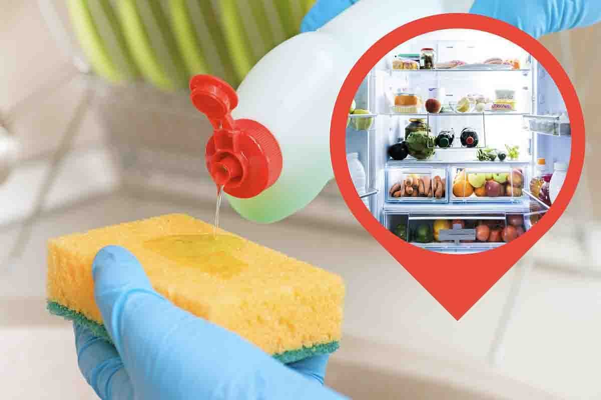 perché è utile mettere una spugna in frigo