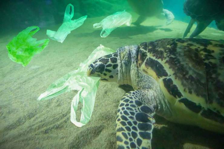 Imballaggi di plastica, perché eliminarli