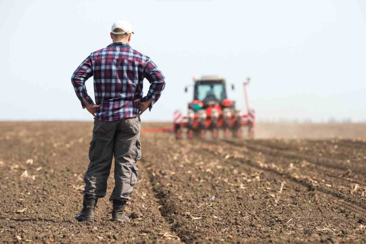 Idee per un terreno agricolo