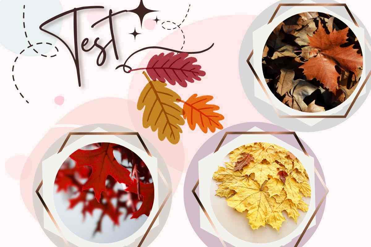Test psicologico rischio