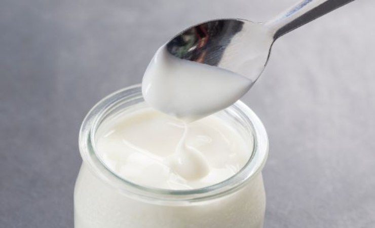 formaggio spalmabile fatto in casa ricetta