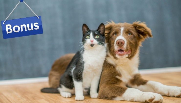 Bonus animali domestici come funziona