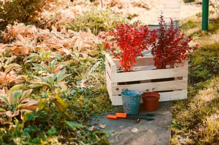 giardino verticale con pallet