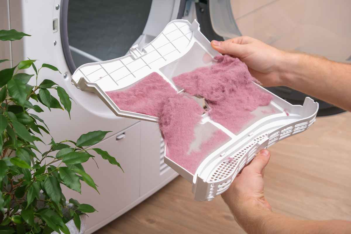 Riutilizzare la lanugine della